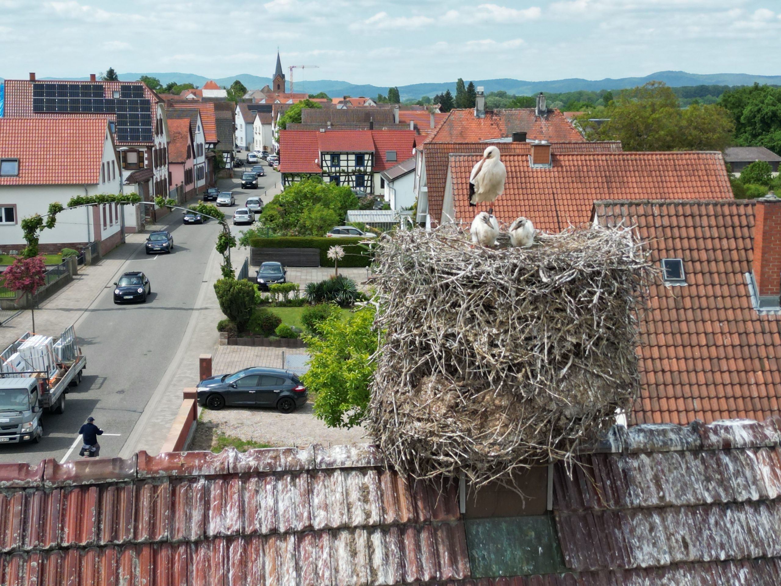 Storchennest auf Dach mit Aussicht über Winden