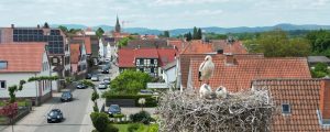 Ansicht Winden von oben mit Storchennest