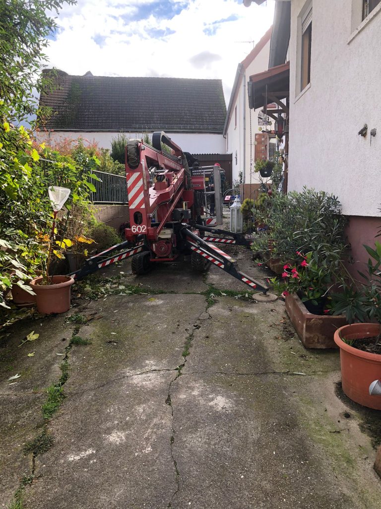 Nestreinigung in Winden 2025