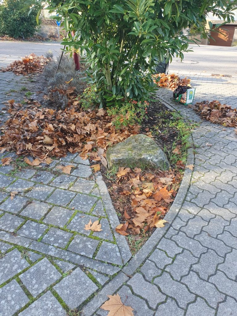 Arbeitseinsatz Herbst 2025